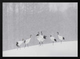 Red-crowned Cranes Snowfall Art Print UK — Japanese Calm Wall Art — Living Room — Wall It All Prints