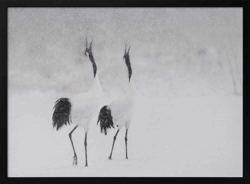Calling Cranes in Snow Art Print UK — Japanese Dark Wall Art — Living Room — Wall It All Prints