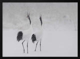 Calling Cranes in Snow Art Print UK — Japanese Dark Wall Art — Living Room — Wall It All Prints