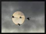 Flying Cranes Sun Art Print UK — Dark Moody Calm Wall Art — Living Room — Wall It All Prints