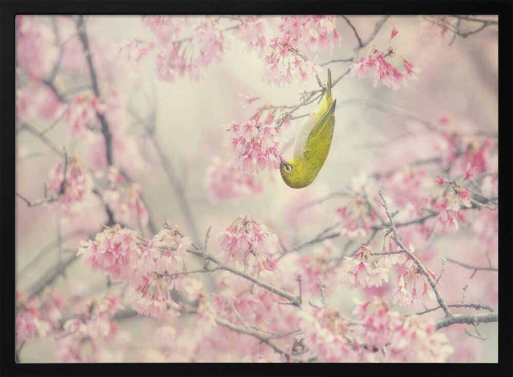 Green Bird Pink Blossoms Art Print UK — Japanese Vibrant Wall Art — Living Room — Wall It All Prints
