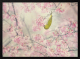 Green Bird Pink Blossoms Art Print UK — Japanese Vibrant Wall Art — Living Room — Wall It All Prints