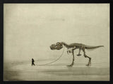 the walk