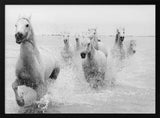 Wild White Horses Running Art Print UK — Landscape Dark Wall Art — Living Room — Wall It All Prints