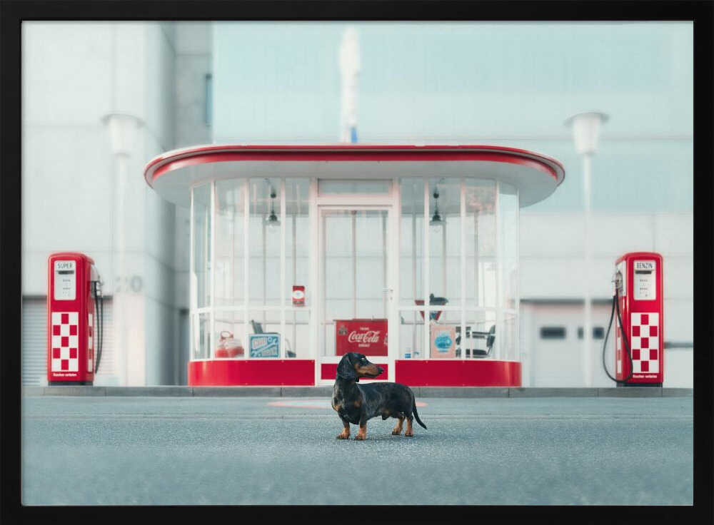 Retro Gas Station Dog Art Print UK — Vintage Vibrant Wall Art — Living Room — Wall It All Prints