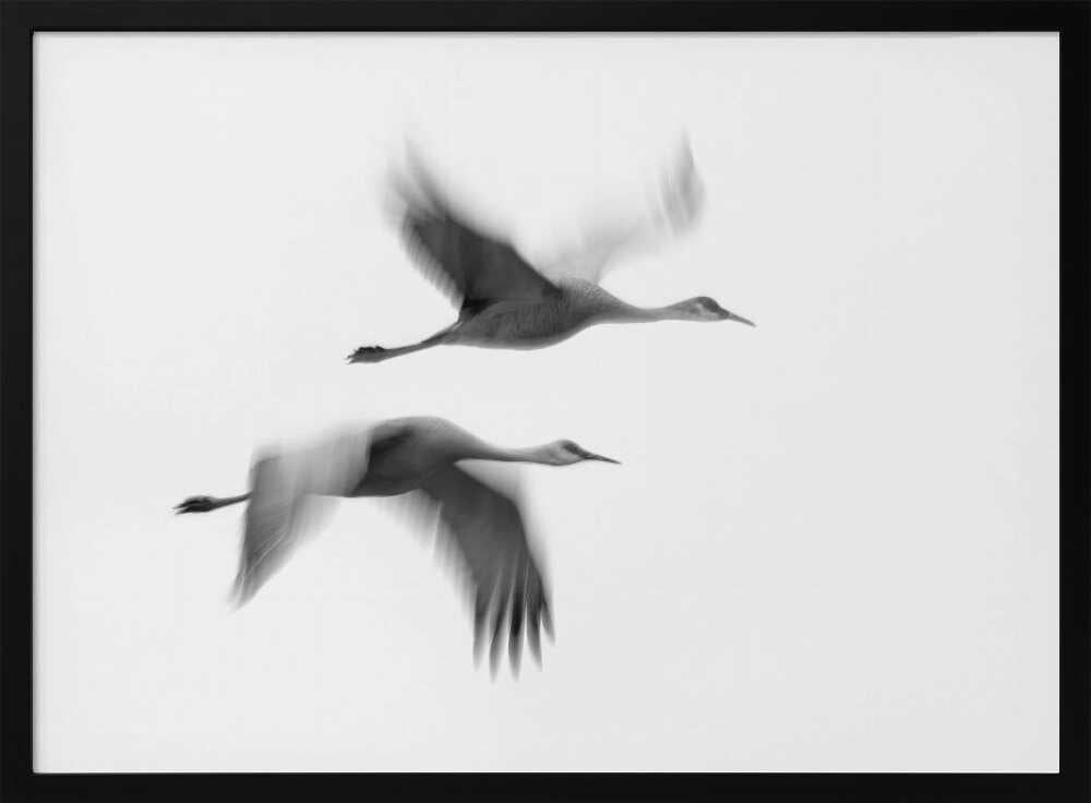 Cranes in Motion Art Print UK — Abstract Dark Wall Art — Living Room — Wall It All Prints