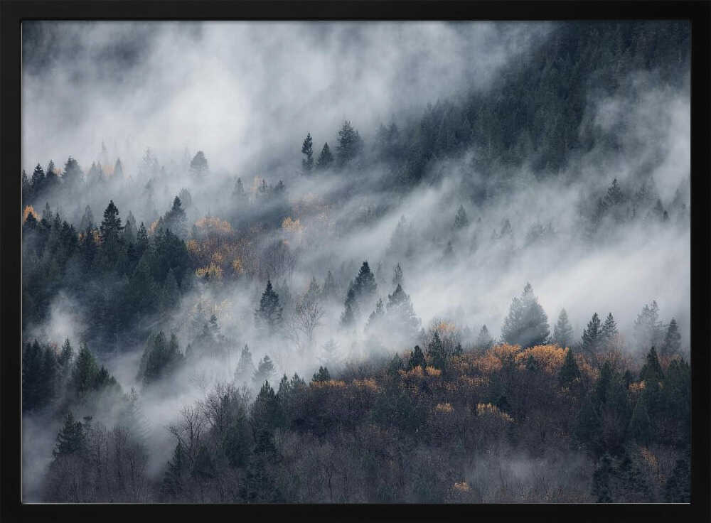 Misty Autumn Forest Art Print UK — Dark Moody Vibrant Wall Art — Living Room — Wall It All Prints