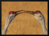 Gentle Crane Kiss Art Print UK — Animal Calm Wall Art — Living Room — Wall It All Prints