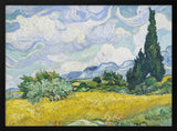Wheat Field With Cypresses