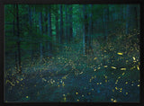 Forest Firefly Glow Art Print UK — Dark Moody Calm Wall Art — Bathroom — Wall It All Prints