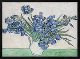 Vincent Van Gogh's Irises (1890).