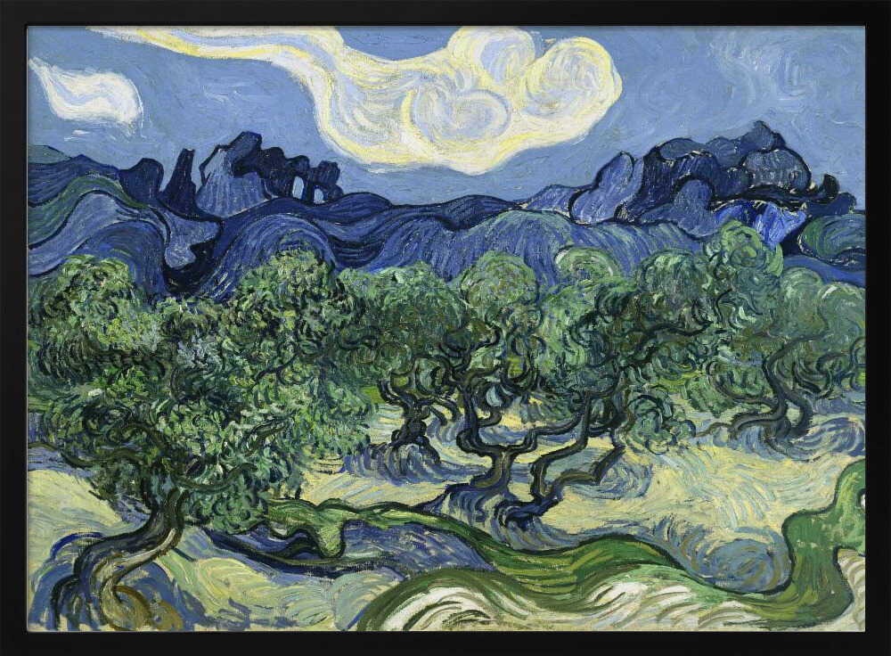 Vincent Van Gogh's Olive Trees With the Alpilles In the Background (1889)