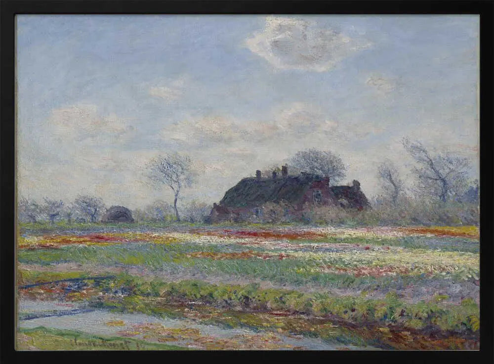 Claude Monet's Tulip Fields At Sassenheim, (1886) – WALL IT ALL PRINTS