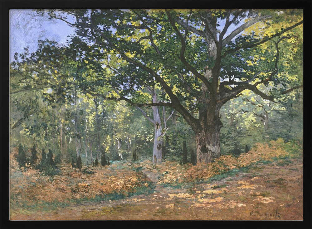 The Bodmer Oak, Fontainebleau Forest (1865) By Claude Monet Claude Monet