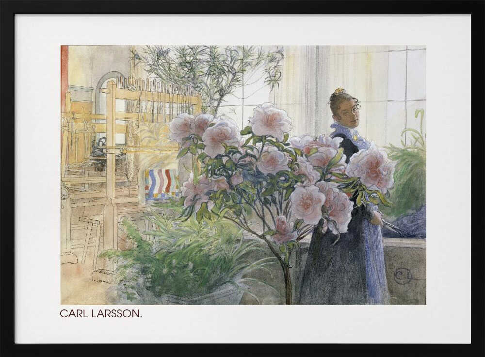 Azalea (1906)