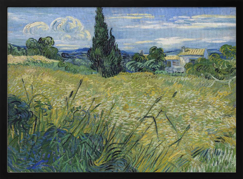 Green Wheat Field With Cypress (1889)