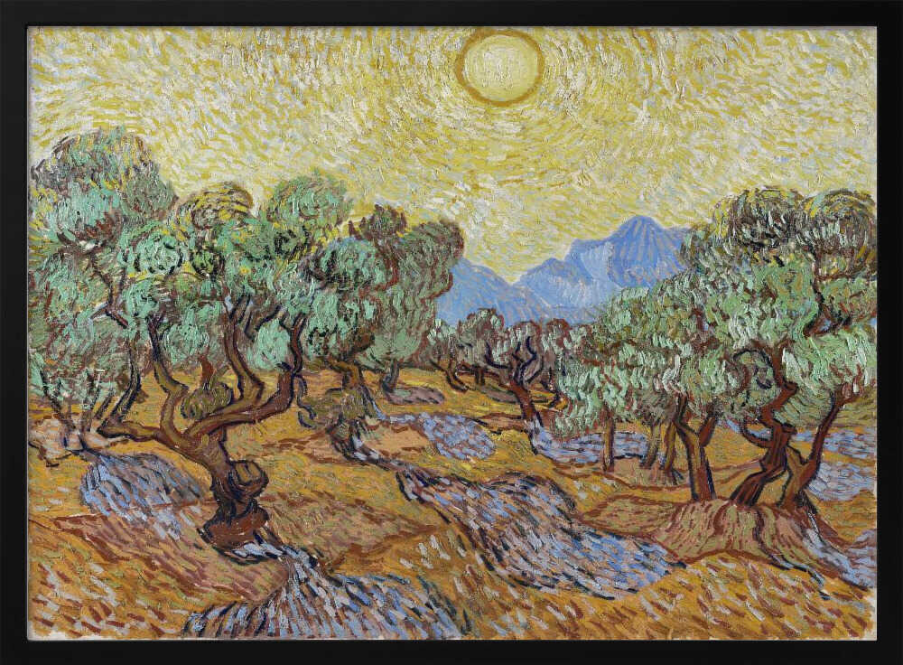 Vincent Van Gogh's Olive Trees (1889)