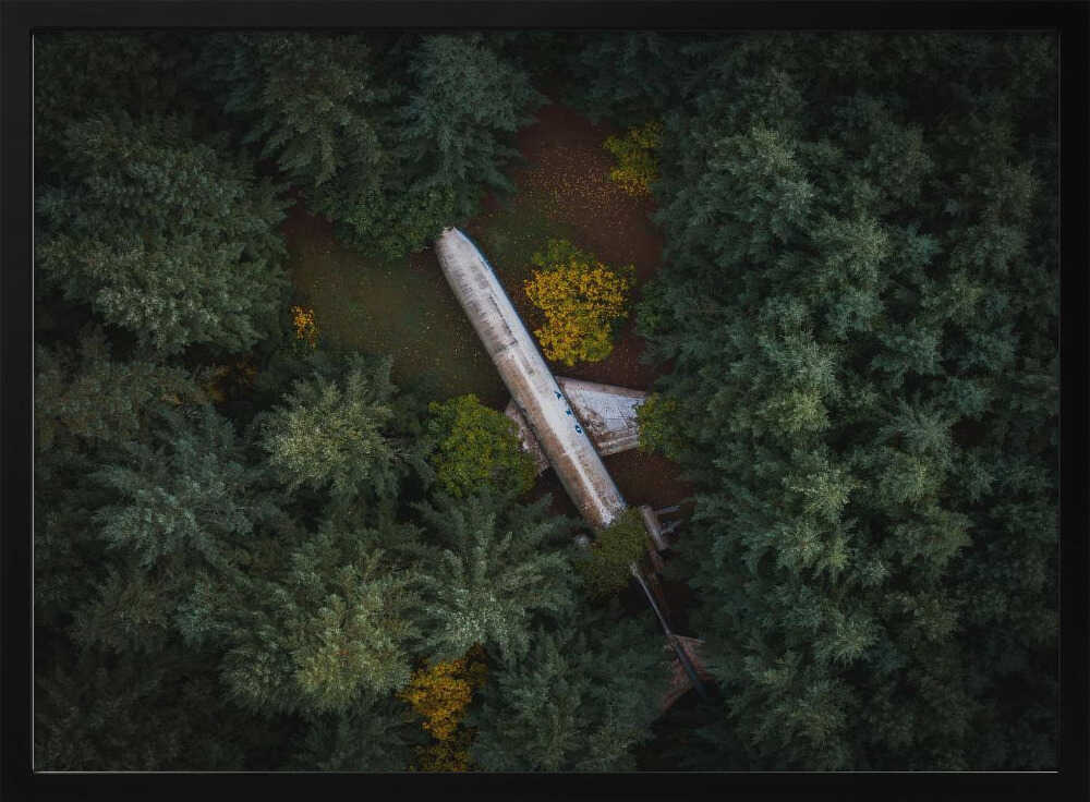 Abandoned Plane in Forest Art Print UK — Landscape Vibrant Wall Art — Living Room — Wall It All Prints