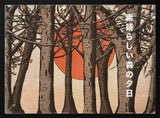 Autumn Forest Sunset
