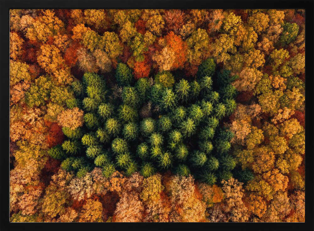 Green Trees Autumn Forest Art Print UK — Abstract Vibrant Wall Art — Living Room — Wall It All Prints
