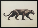Black Panther Stride