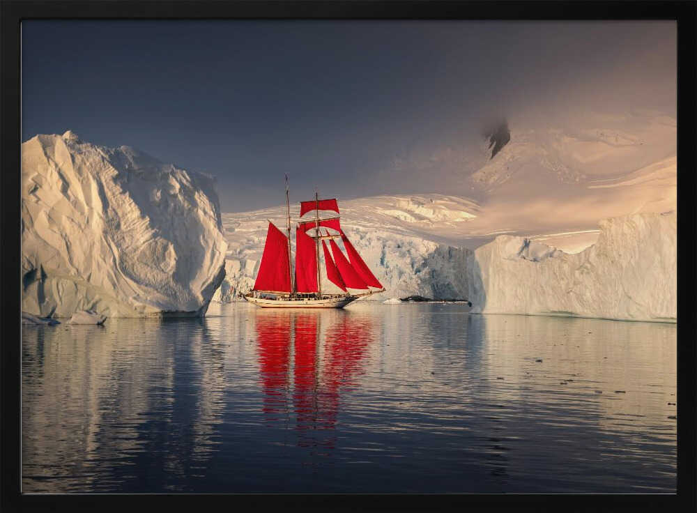 Red Sails Polar Expedition Karol Nienartowicz