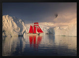 Red Sails Polar Expedition Karol Nienartowicz