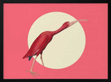 Vibrant Scarlet Ibis Art Print UK — Abstract Vibrant Wall Art — Office — Wall It All Prints