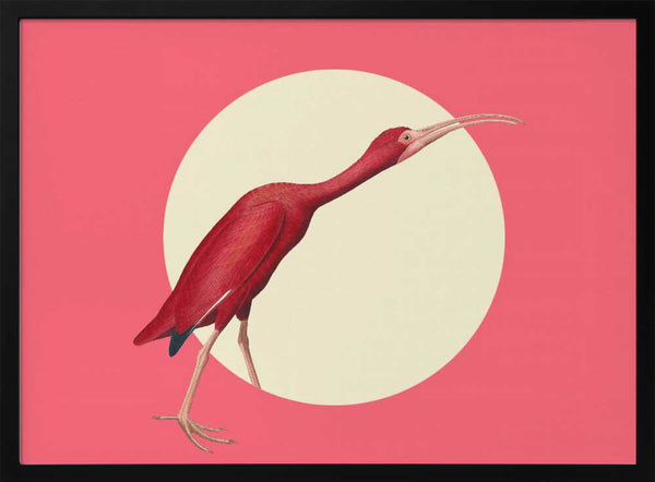 Vibrant Scarlet Ibis Art Print UK — Abstract Vibrant Wall Art — Office — Wall It All Prints