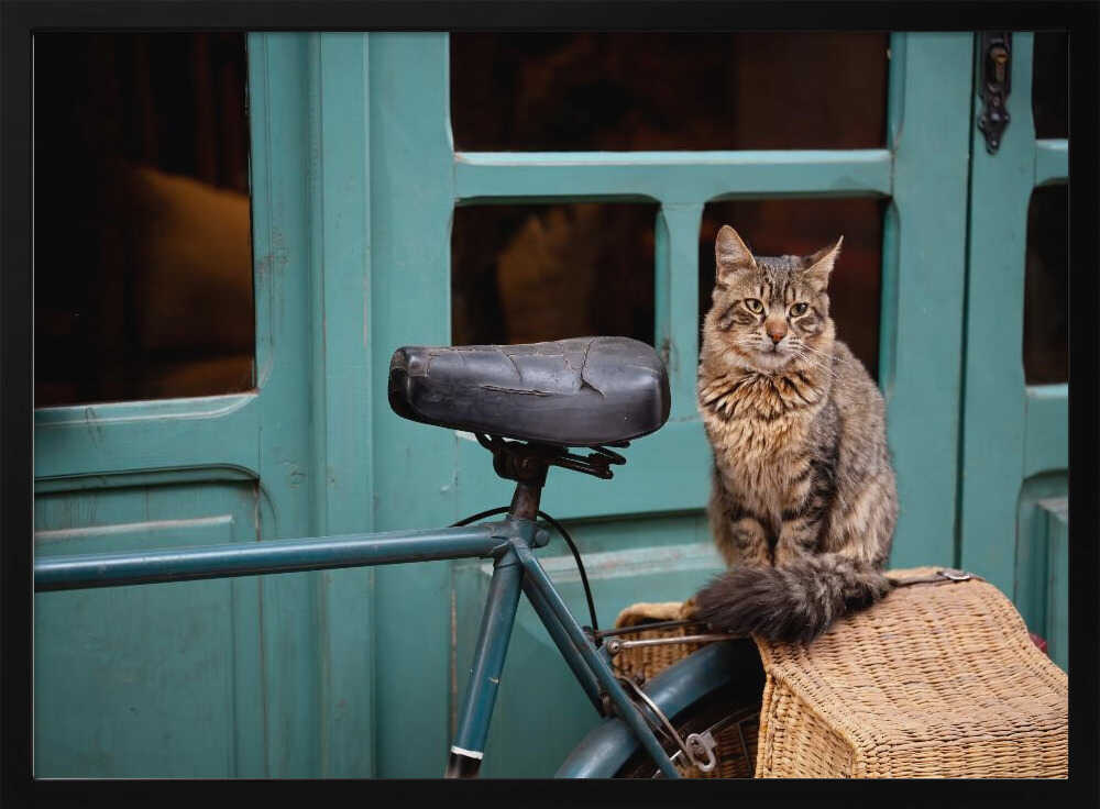Tabby Cat on Bicycle Art Print UK — Landscape Warm Wall Art — Nursery — Wall It All Prints