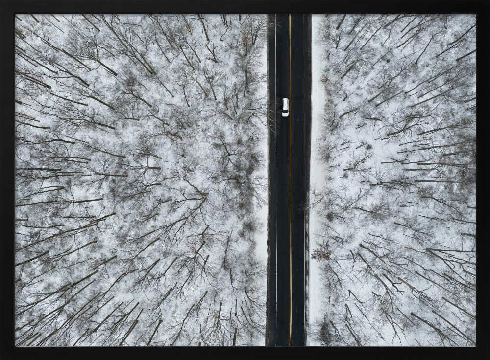 Snowy Forest Road Art Print UK — Japanese Calm Wall Art — Living Room — Wall It All Prints