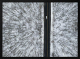 Snowy Forest Road