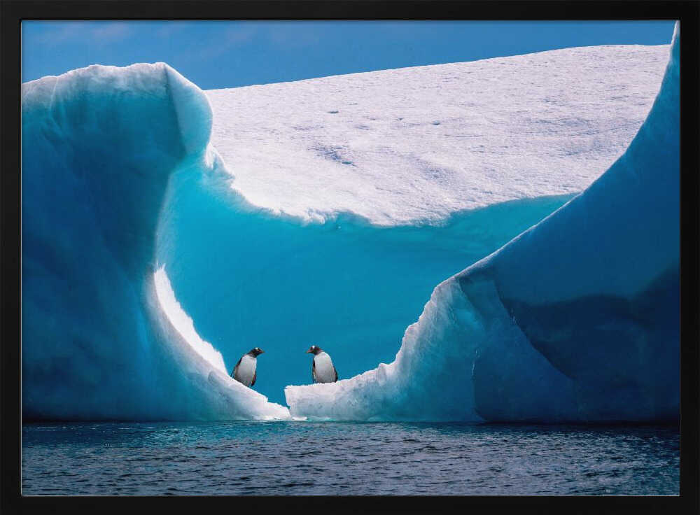 Penguins Beneath Blue Ice