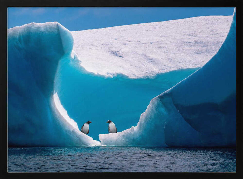 Penguins Beneath Blue Ice