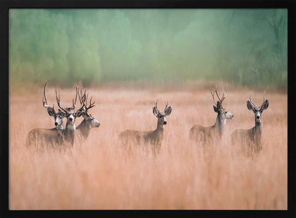 Deer In Tall Grass Art Print UK — Landscape Calm Wall Art — Bedroom — Wall It All Prints