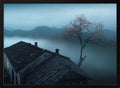 Misty Mountain House