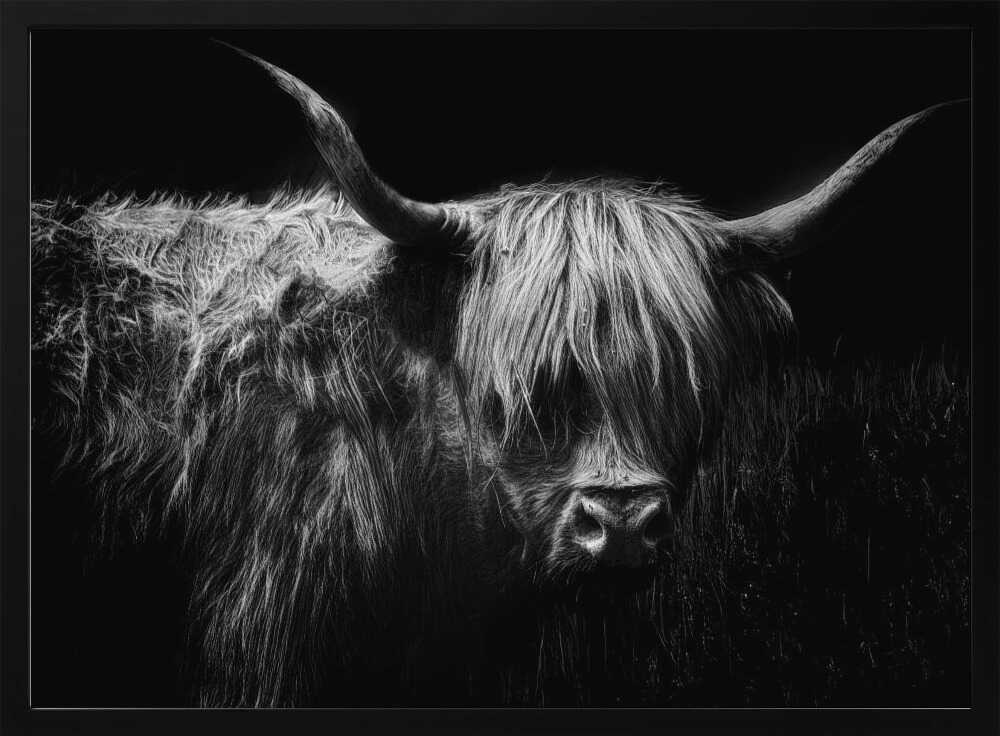 Highland Cow Portrait Art Print UK — Dark Moody Dark Wall Art — Living Room — Wall It All Prints