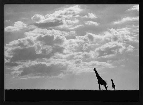 African Giraffe Family Silhouette Art Print UK — Botanical Calm Wall Art — Bedroom — Wall It All Prints