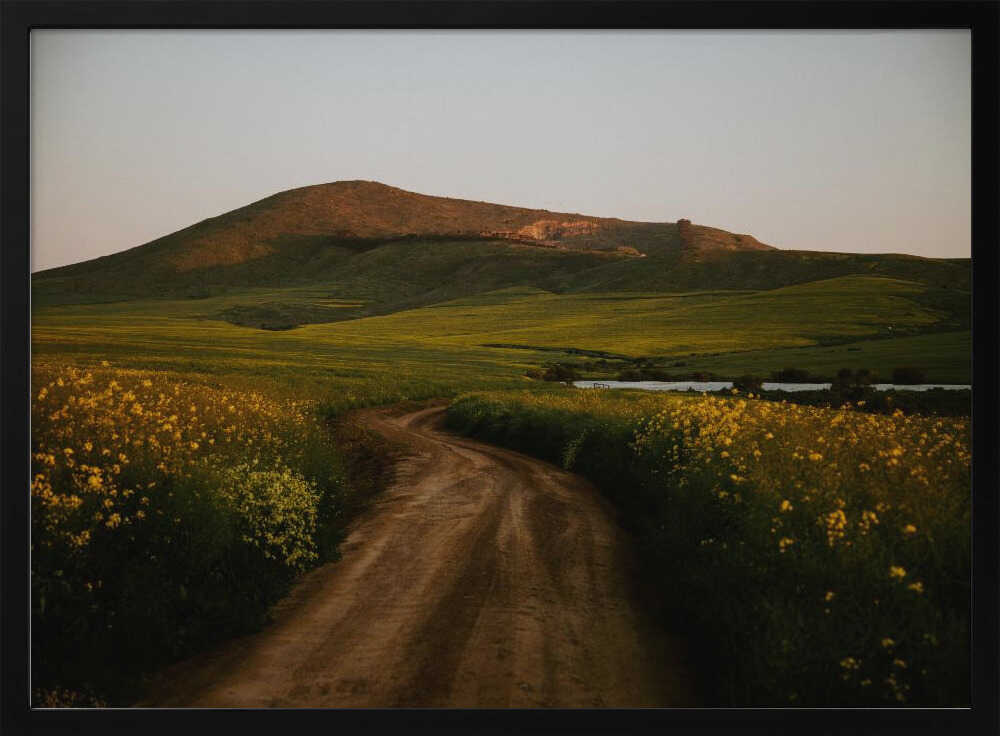 Golden Hour Country Road Art Print UK — Botanical Vibrant Wall Art — Living Room — Wall It All Prints