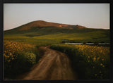 Golden Hour Country Road