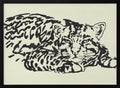 Resting Leopard Gaze