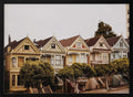 San Francisco Painted Ladies