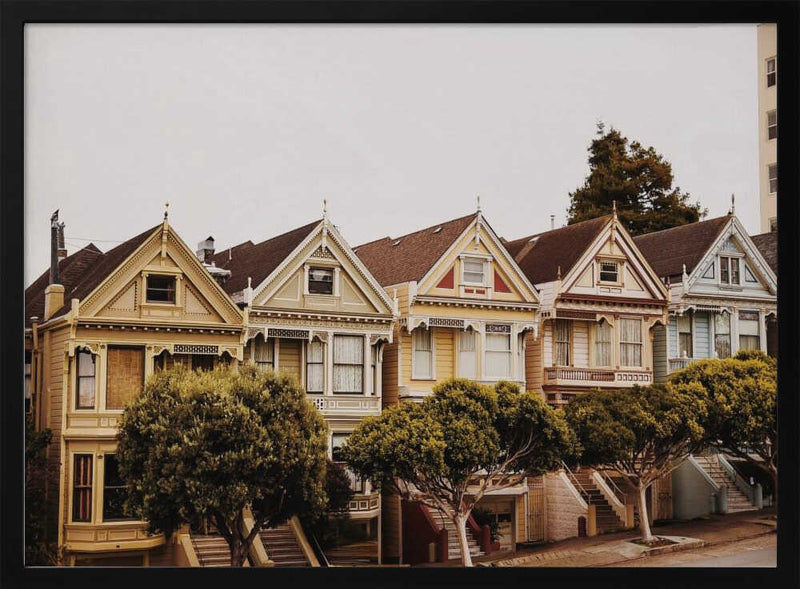 San Francisco Painted Ladies