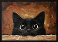 Cute Black Kitten