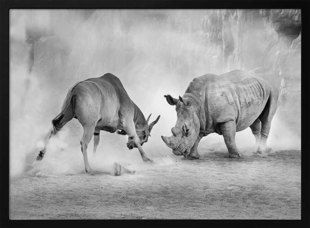 Rhino Eland Showdown Art Print UK — Animal Dark Wall Art — Living Room — Wall It All Prints
