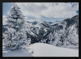 Frosted Mountain Majesty