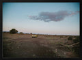 Lone Desert Vehicle
