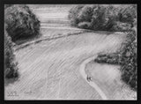 Peaceful Countryside Path