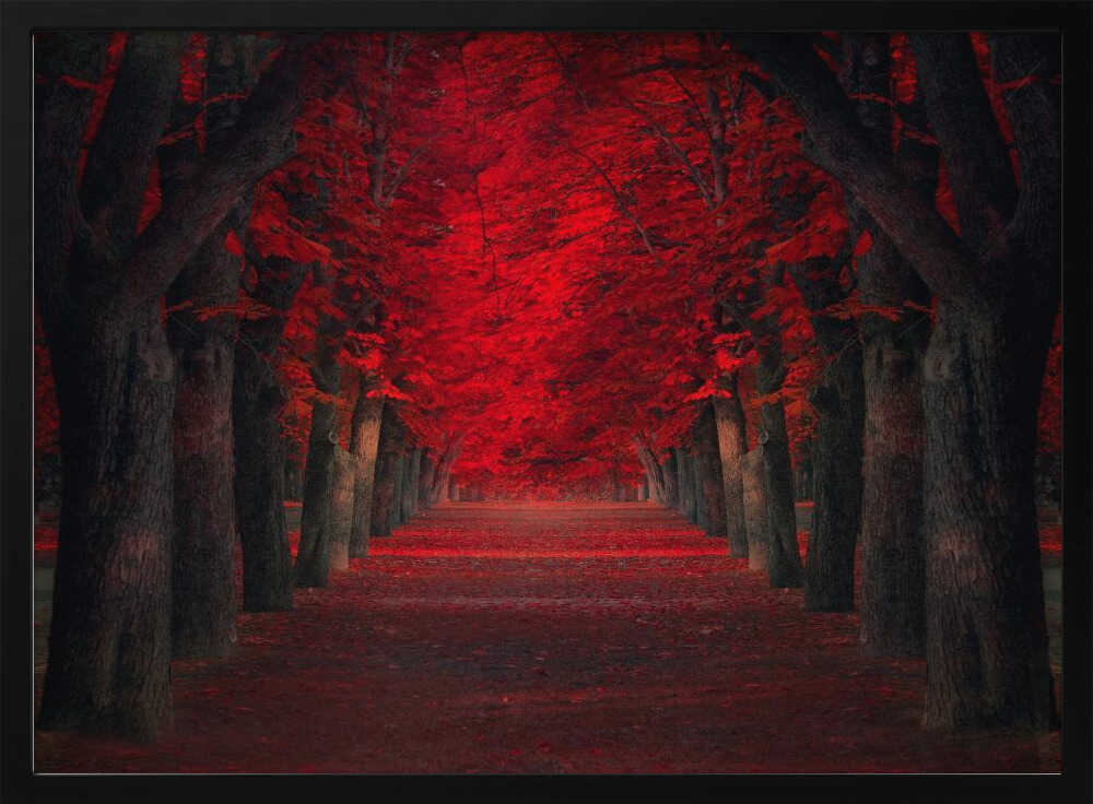 Vibrant Red Tree Pathway Art Print UK — Botanical Vibrant Wall Art — Living Room — Wall It All Prints
