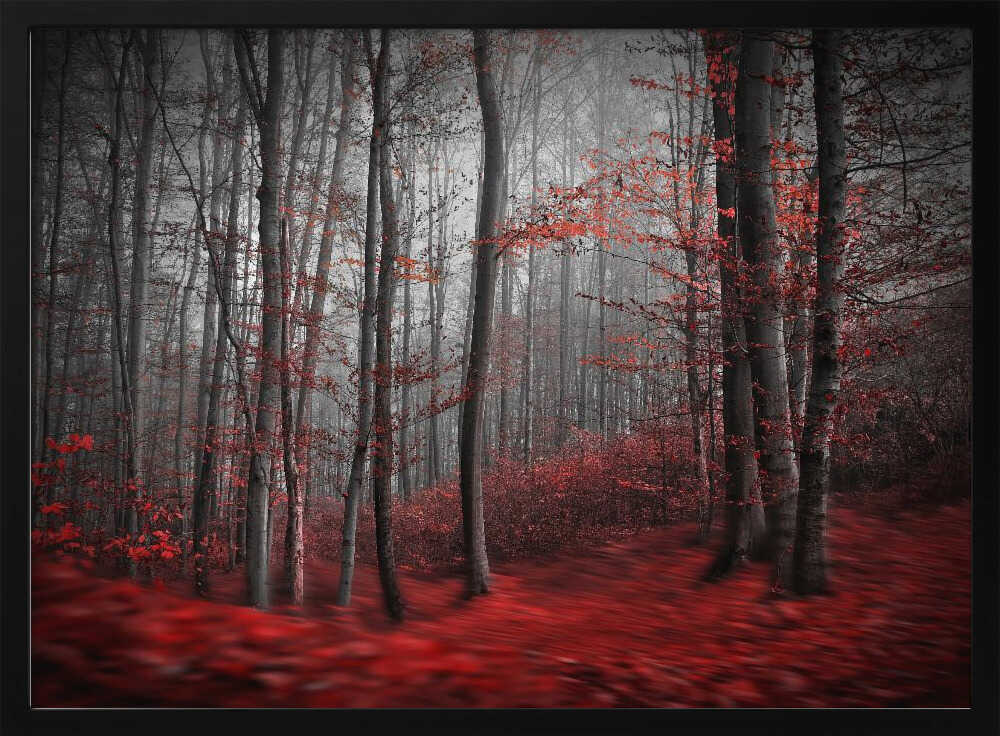 Misty Red Forest Art Print UK — Dark Moody Dark Wall Art — Living Room — Wall It All Prints